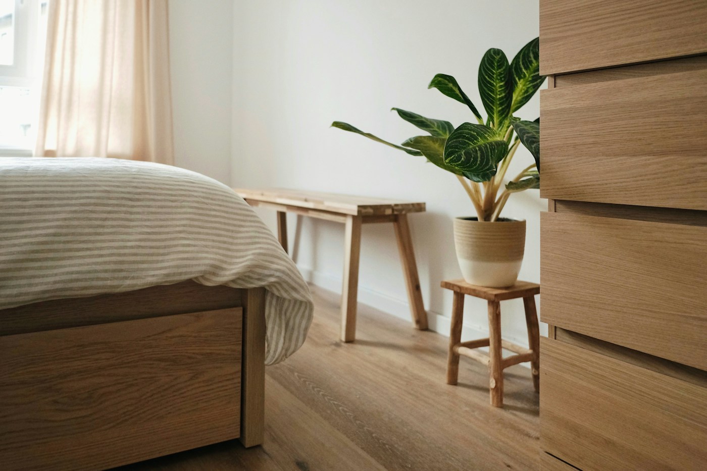 Warm wood tones and finishing materials